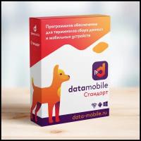 DMcloud: DataMobile Стандарт Pro