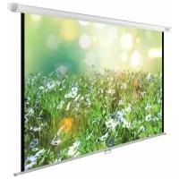 Рулонный матовый белый экран cactus WallExpert CS-PSWE-200x200-WT