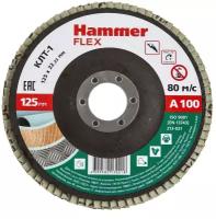 Круг лепестковый торцевой 125 Х 22 Р100 тип 1 КЛТ P100 Hammer Flex SE 213-021