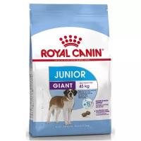 Giant Junior