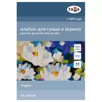 Альбом ГАММА 21 х 29.7 см 180 г/м², 30 л. белый 21х29 21 см 29.7 см 180 г/м²