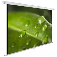 Рулонный матовый белый экран cactus WallExpert CS-PSWE-200x150-WT, 99