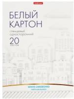 Картон белый А4, 20 листов, мелованный односторонний, 170 г/м2, ErichKrause, в папке, игрушка-набор в подарок