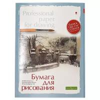 Папка для рисования Альт Professional paper for drawing 29.7 х 21 см (A4), 160 г/м², 20 л