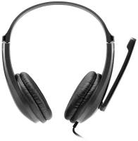 Компьютерная гарнитура Canyon basic PC headset with microphone (CNS-CHSU1B)