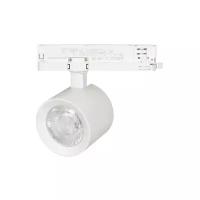 Трековый светильник-спот Arlight LGD-NIKA-4TR-R100-20W Warm3000 031108