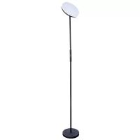 Напольный светильник светодиодный Arte Lamp Sceptrum A1822PN-1BK, 20 Вт