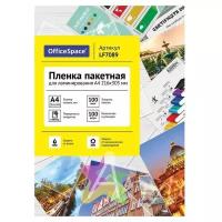 Пленка для ламинирования А4 / Бумага для ламинатора 100 мкм / Листы 100 шт глянцевые для защиты карт, фотографий, документов