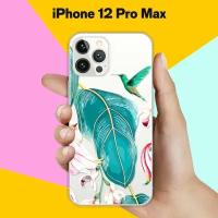 Силиконовый чехол Колибри на Apple iPhone 12 Pro Max