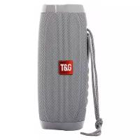 Портативная акустика T&G TG157 CN, 10 Вт, серый