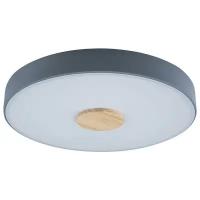 Потолочный светильник круглый светодиодный серый Loft It Axel 10003/24 Grey