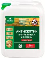 Антисептик универсальный против грибка и плесени, Антиплесень, готовый раствор, 5 л