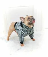 Зимняя куртка для собак средних пород/одежда для собак/куртка для собак/ В клетку, серая. Размер XL