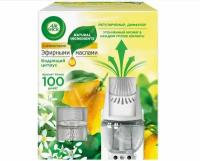 Air Wick сменный блок для диффузора Botanica Бодрящий цитрус, 19 мл