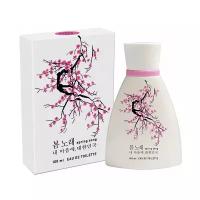 Today Parfum Женский Korea Spring Song Туалетная вода (edt) 100мл