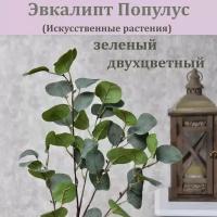 Эвкалипт Популус Зеленый двухцветный искусственный (1 ветка) / Озеленение помещений / Реалистичный эвкалипт