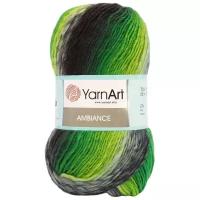 Пряжа YarnArt 'Ambiance' 100гр 250м (20% шерсть, 80% акрил) (156 секционный) 5 шт