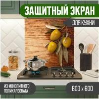 Защитный экран для кухни 600 х 600 х 3 мм 