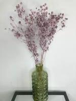 Эрингиум (сухоцвет) лавандовый/Сухоцветы для флористов, для декора, для творчества