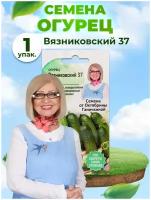 Огурец Вязниковский 37 0,5 гр / семена огурцов для посадки / огурцы для балкона сада дома / овощей