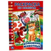 Умка Раскраска по номерам. Домашние животные (малый формат)