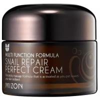 Mizon Multifunction Formula Snail Repair Perfect Cream Крем для лица