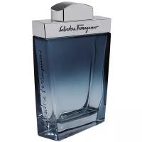 Salvatore Ferragamo Мужской Subtil Pour Homme Туалетная вода (edt) 100мл