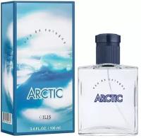 Dilis Parfum Arctic одеколон 100 мл для мужчин