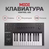 MIDI-клавиатура Native Instruments Komplete Kontrol A25 черный