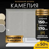 Рулонная штора LM Decor Камелия 49-04 серый 150х170