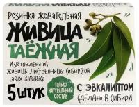 Смолка жевательная Алтайский нектар живица с эвкалиптом, 5 шт