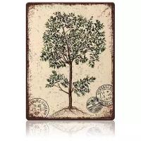 Жестяная табличка Оливковое дерево, металл, 20х30 см