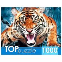 Пазлы «Грозный тигр», 1000 элементов
