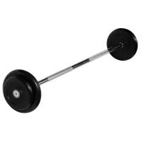 Набор спортивных штанг MB Barbell неразборная MB-BarMW-B