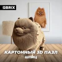 QBRIX Картонный 3D конструктор Шпиц