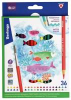 Цветные карандаши для школы акварельные 36 цветов, трехгранные / Набор цветных карандашей для рисования школьный Berlingo 