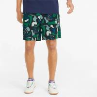 Шорты Puma x BUTTER GOODS AOP Shorts Mineral