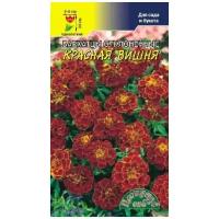 Бархатцы (Тагетес) откл. Красная вишня 0.3г 30-35см (Цвет сад) 10 шт