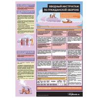 Плакат Вводный инструктаж по гражданской обороне, 1 лист А2
