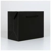Пакет — коробка «Чёрный», 28 × 20 × 13 см