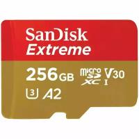 Карта памяти Micro SecureDigital 256Gb SanDisk Extreme microSDHC class 10 UHS-1 A2 V30 (SDSQXAV-256G-GN6GN) Gaming