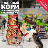 Влажный корм для собак Зоогурман Big Dog, телятина, кролик