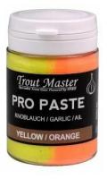 Паста форелевая Trout Master Paste Yellow/Orange (60гр.)