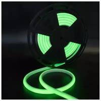 Термостойкая светодиодная лента для сауны и бани SWG SMD 2835 зеленый свет (термолента 5 м, 180 LED/м, 12 Вт/м, 24В, IP68, до 100 С)