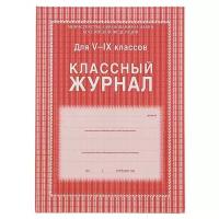 Классный журнал для 5-9 классов А4, 168 страниц, твердая ламинированная обложка, блок офсет 65г/м2