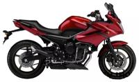 Дуги на мотоцикл YAMAHA XJ6 Diversion `09- CRAZY IRON серии STREET