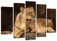 Модульная картина Львица со львенком 140х80 см