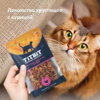 Хрустящее лакомство для кошек TiTBiT с курицей 60 г