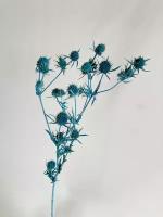 Эрингиум (сухоцвет) синий/Сухоцветы для флористов, для декора, для творчества