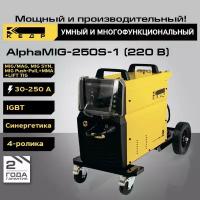 Сварочный аппарат инверторного типа Кедр AlphaMIG-250S-1, TIG, MMA, MIG/MAG